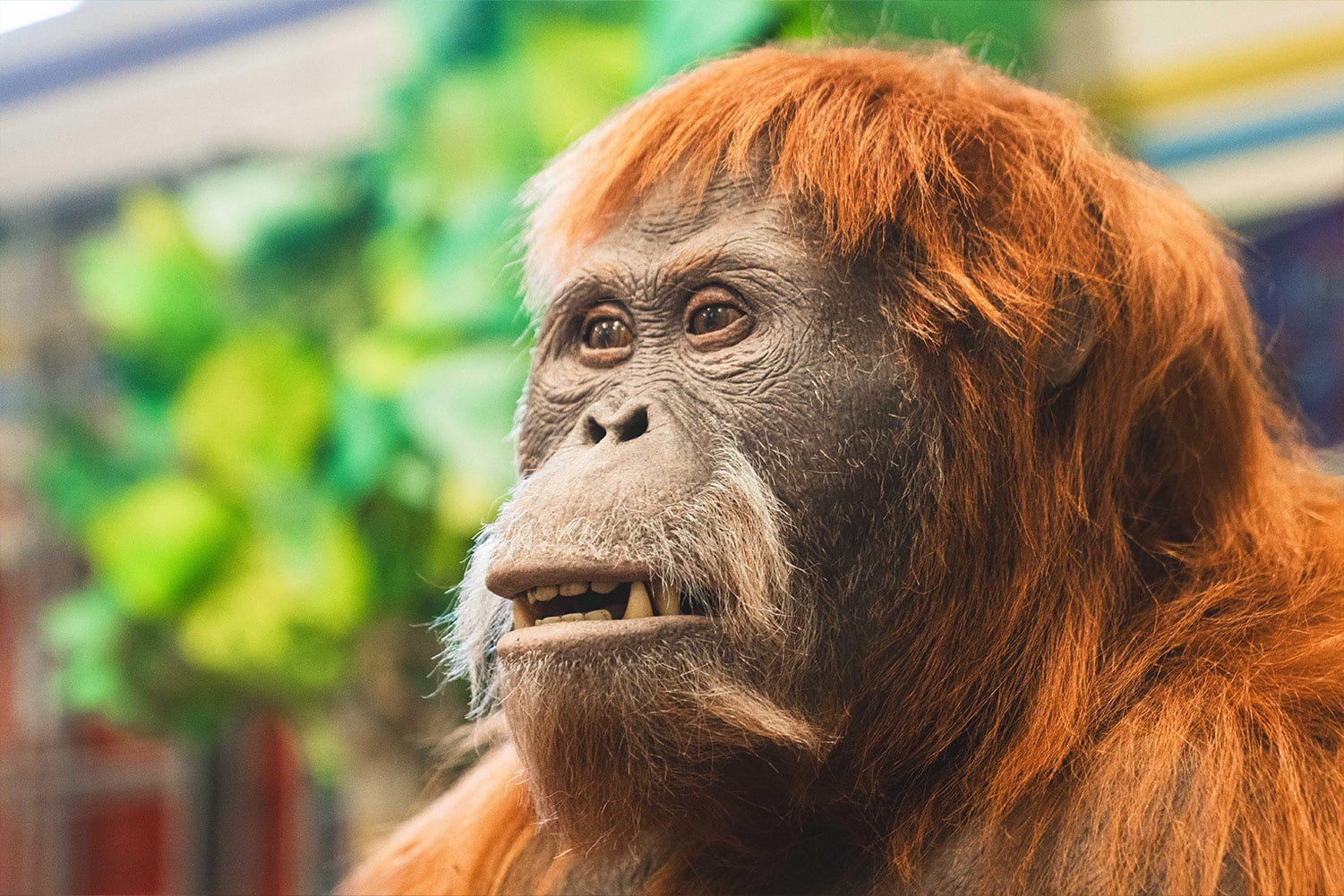 Willaston Primary School