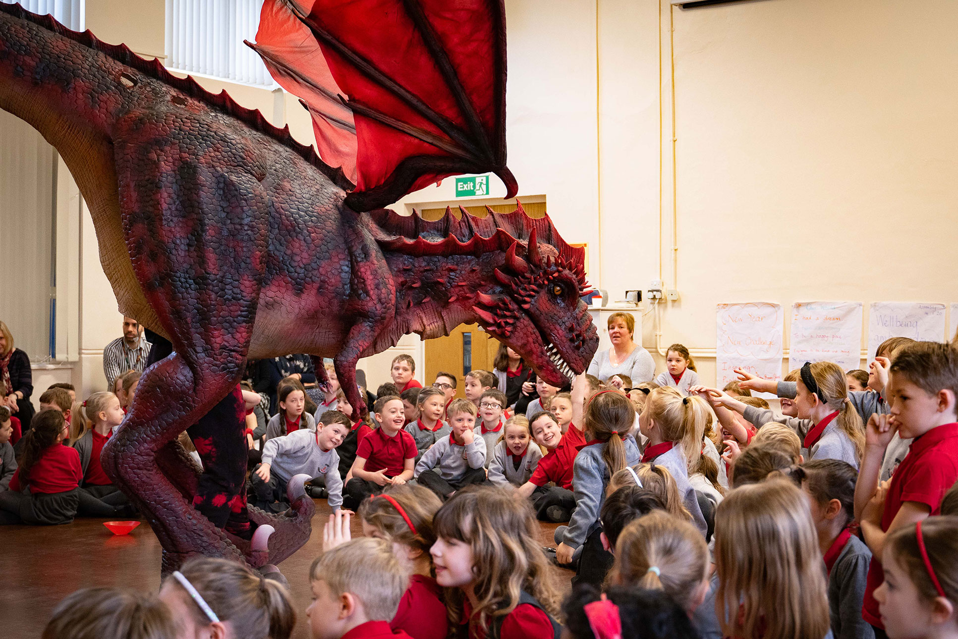 dragon and dinosaur workshops