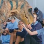 video-overlay-img-SEND